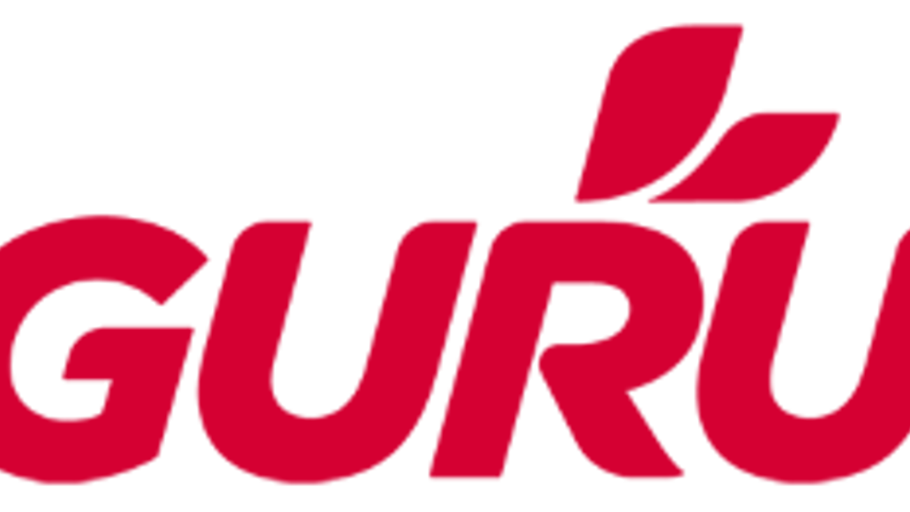 Guru Corporate Logo Teaser image