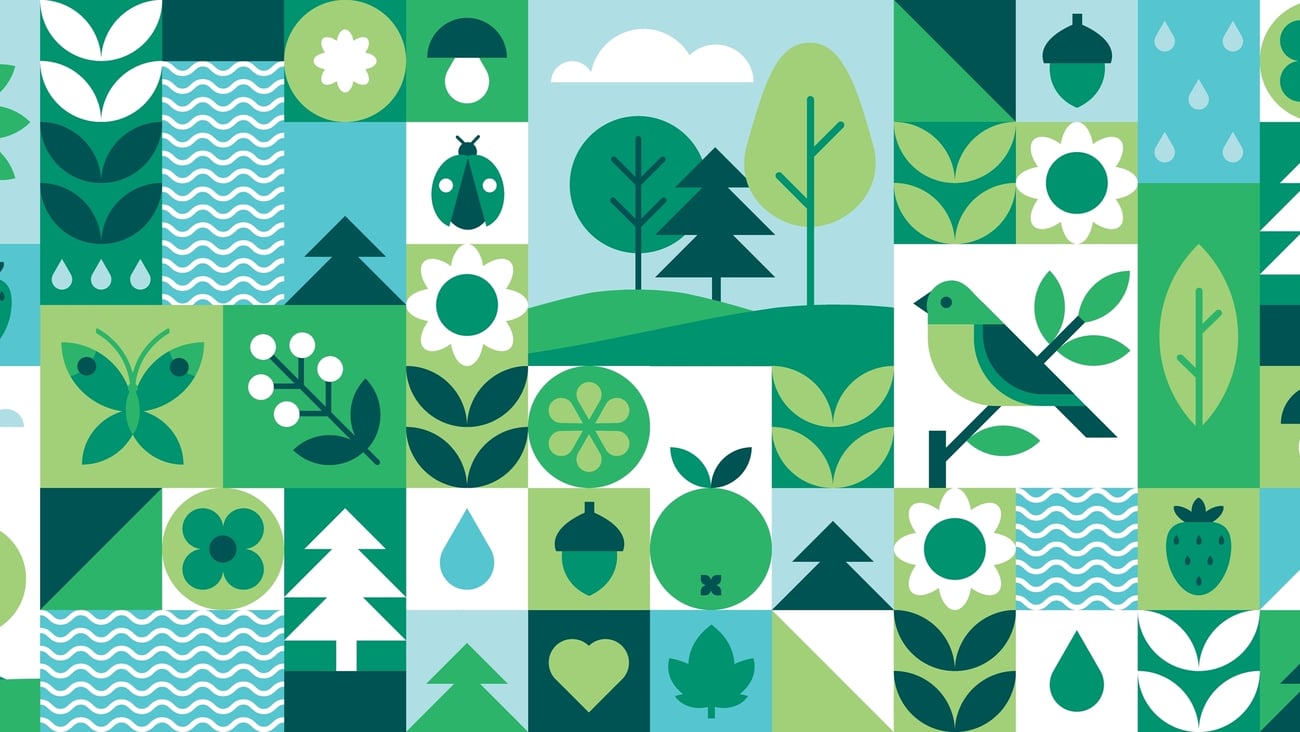 A collage of eco-friendly images