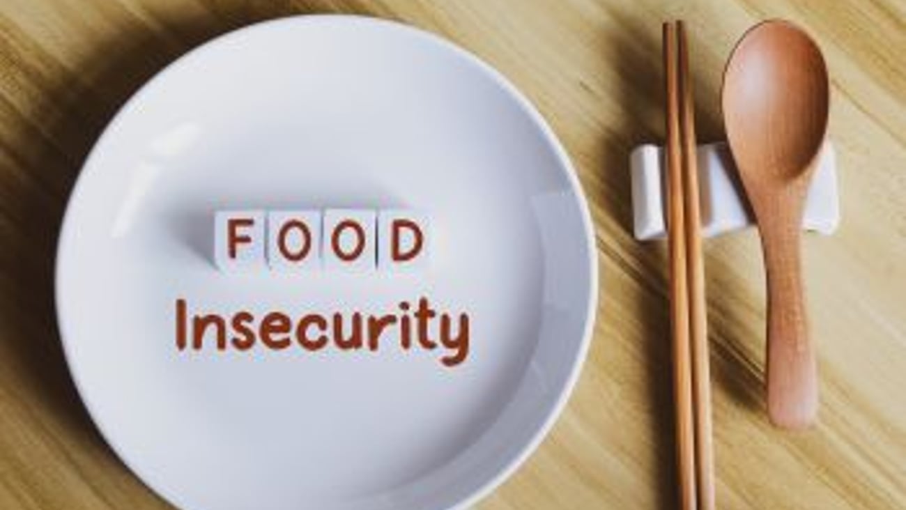 Food Insecurity Teaser