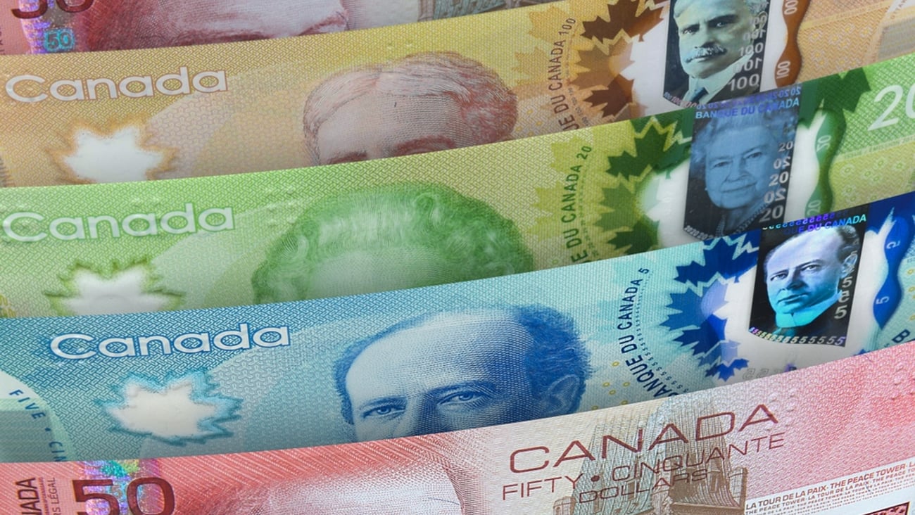 An array of Canadian currency: The bills are fanned out in order of denomination.
