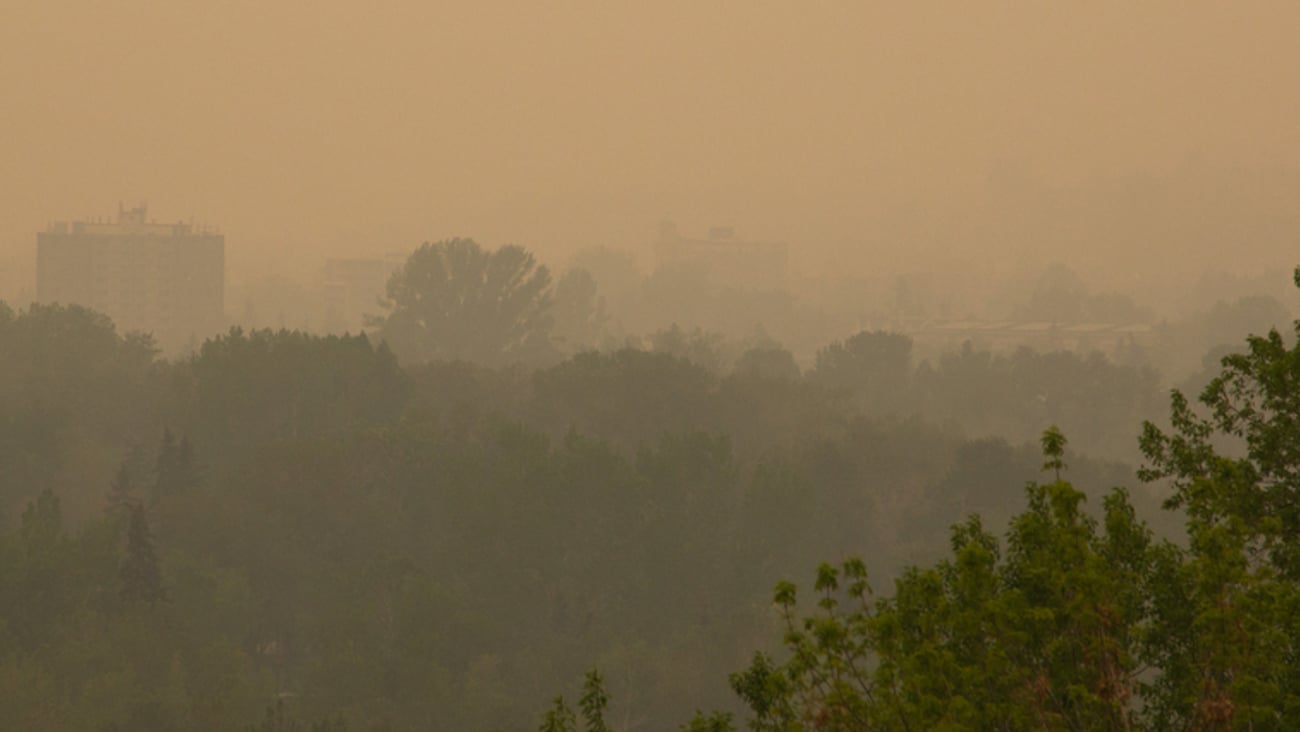 Wildfires 2026
