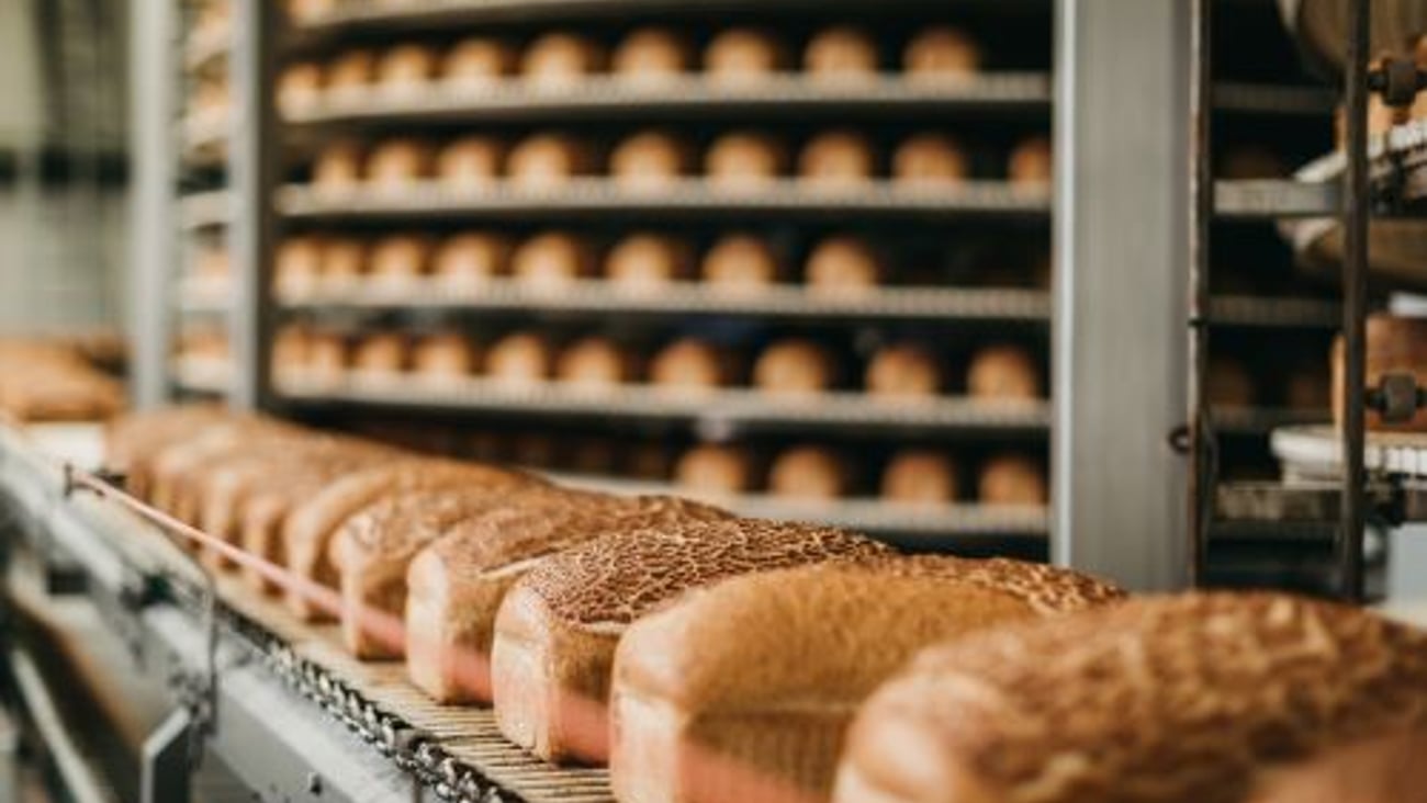 Baked Bread on Conveyor Belt Stock Image