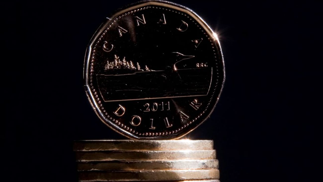 Canadian Press Loonie image by Jonathan Hayward
