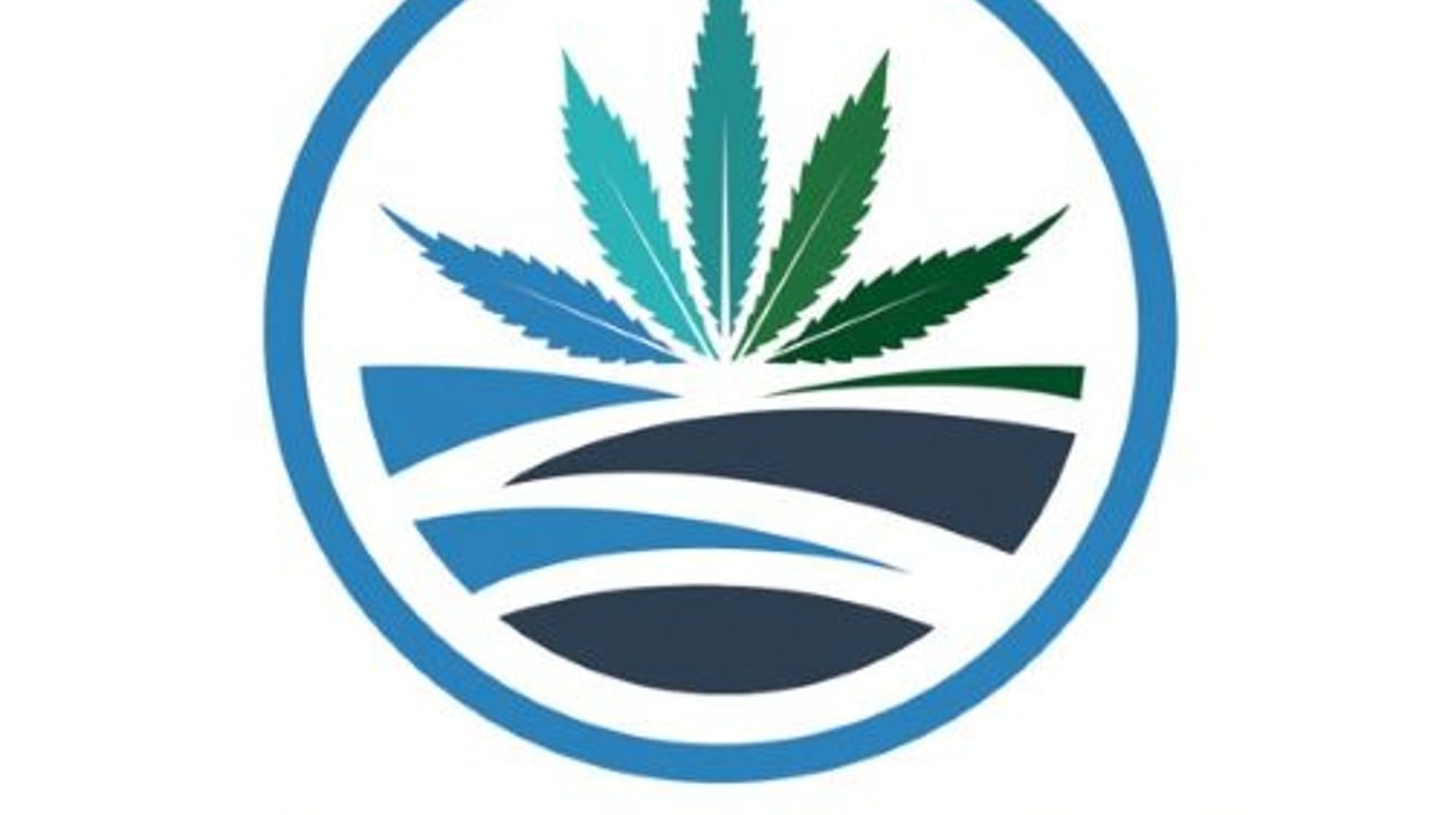 High Tide Logo Teaser