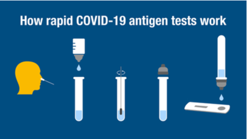 Illustration of how COVID antigen rapid tests work