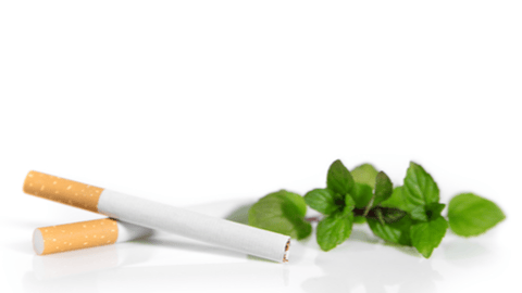 cigarettes with mint leaves