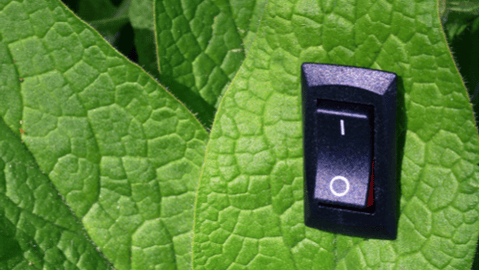 Green leaf with on switch embedded