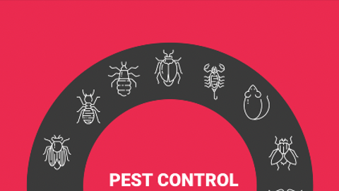 Pest control icons