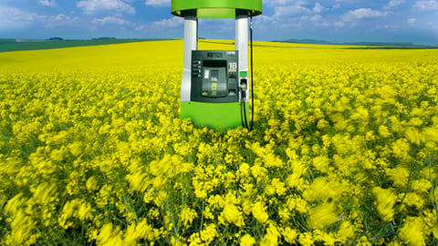 Ethanol fuel pump placed in a field of flowers on a bright, sunny day.