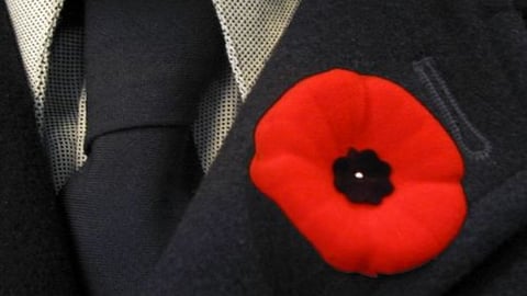 Remembrance Day Poppy