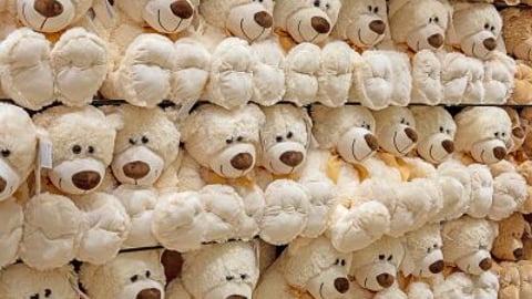 Teddy Bears Teaser