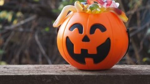 Halloween Pumpkin Candy Holder Teaser