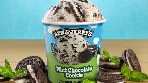 Ben + Jerry Mint Chocolate Chip