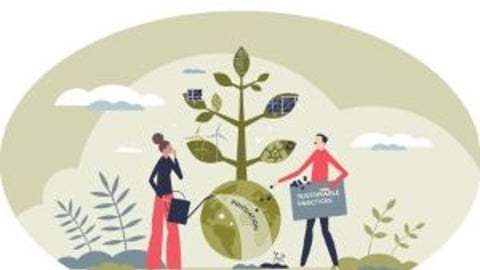 Leadership Tree Teaser