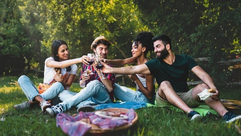 young adults drinking wine on a picnic blanket