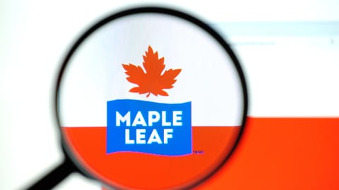 maple leaf foods under magnifying glass