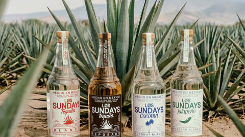 Los Sundays tequila bottles