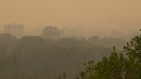 Wildfires 2026
