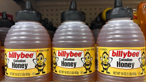 Billy Bee Canadian Honey