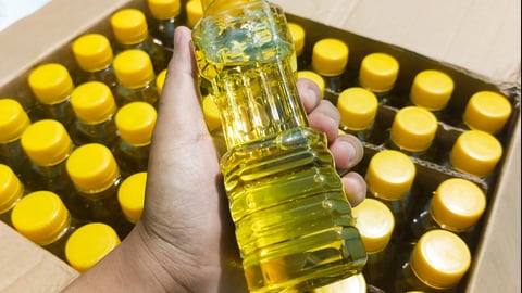 seed oil