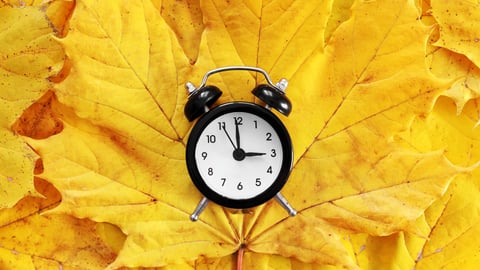 clock on autumn leaves