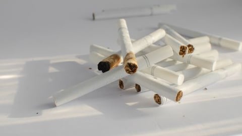 Stock image of individual cigarettes on a white background