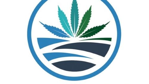 High Tide Logo Teaser