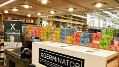 XGerminator-Summerhill-240x300