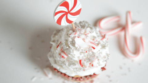 Screen Shot 2020-12-02 at 1.16.34 PM