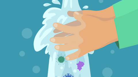 Shutterstock_flu_virus_handwashing