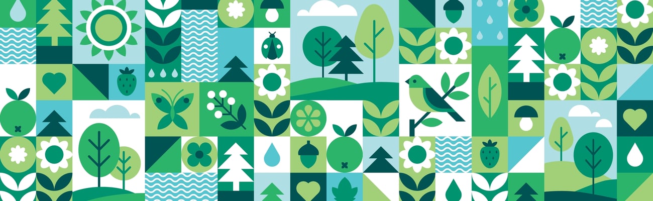 A collage of eco-friendly images