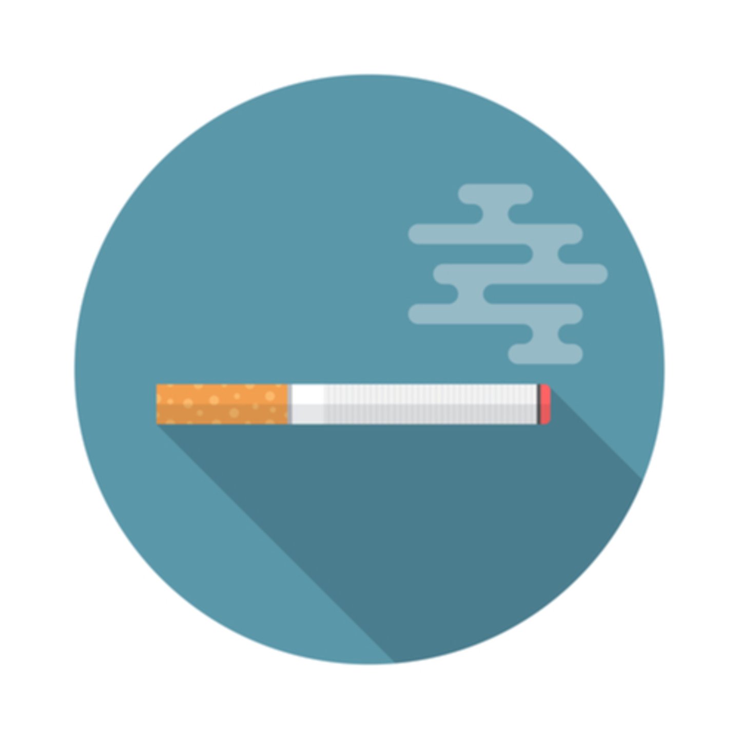 cigarette vector image