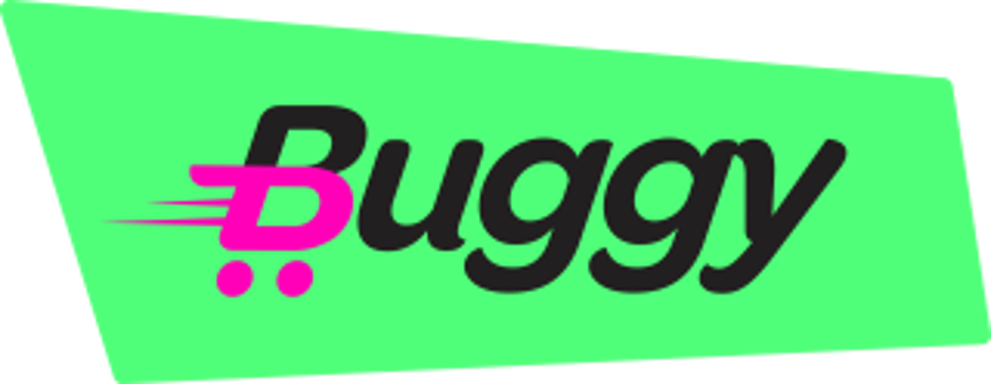 Buggy delivery logo