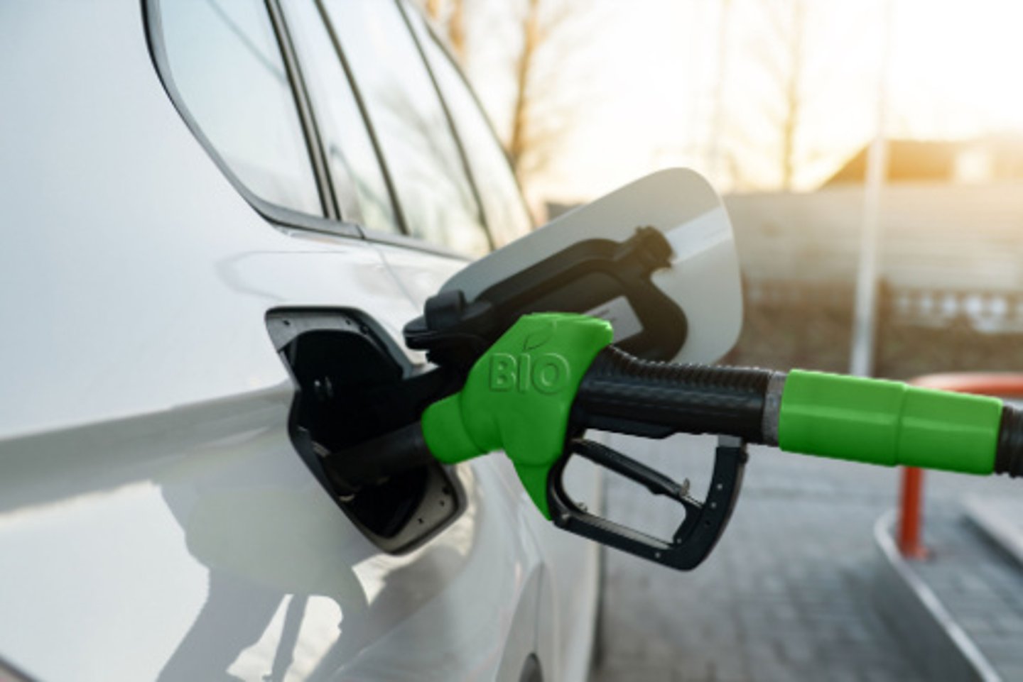 Refuelling the car with biofuel