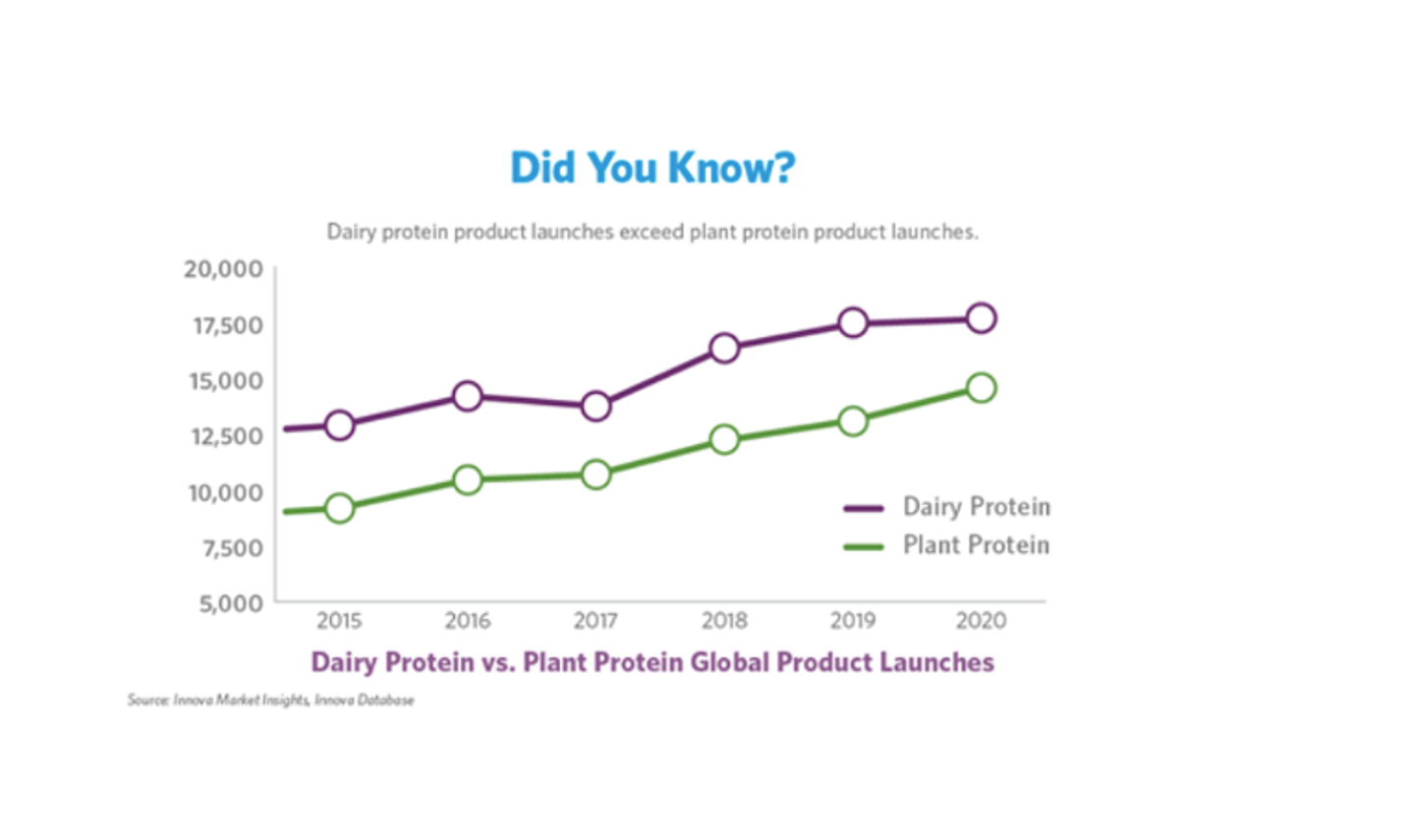 Dairy protein launches by category