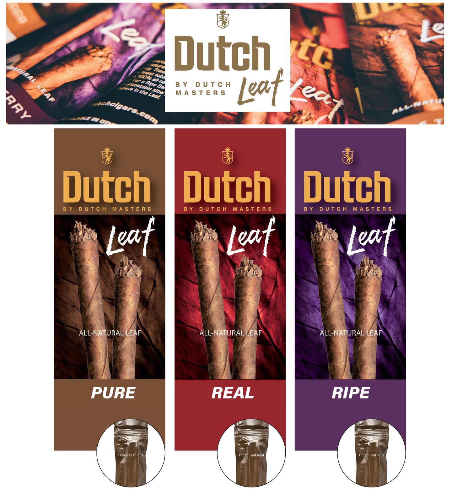 Dutch Leaf