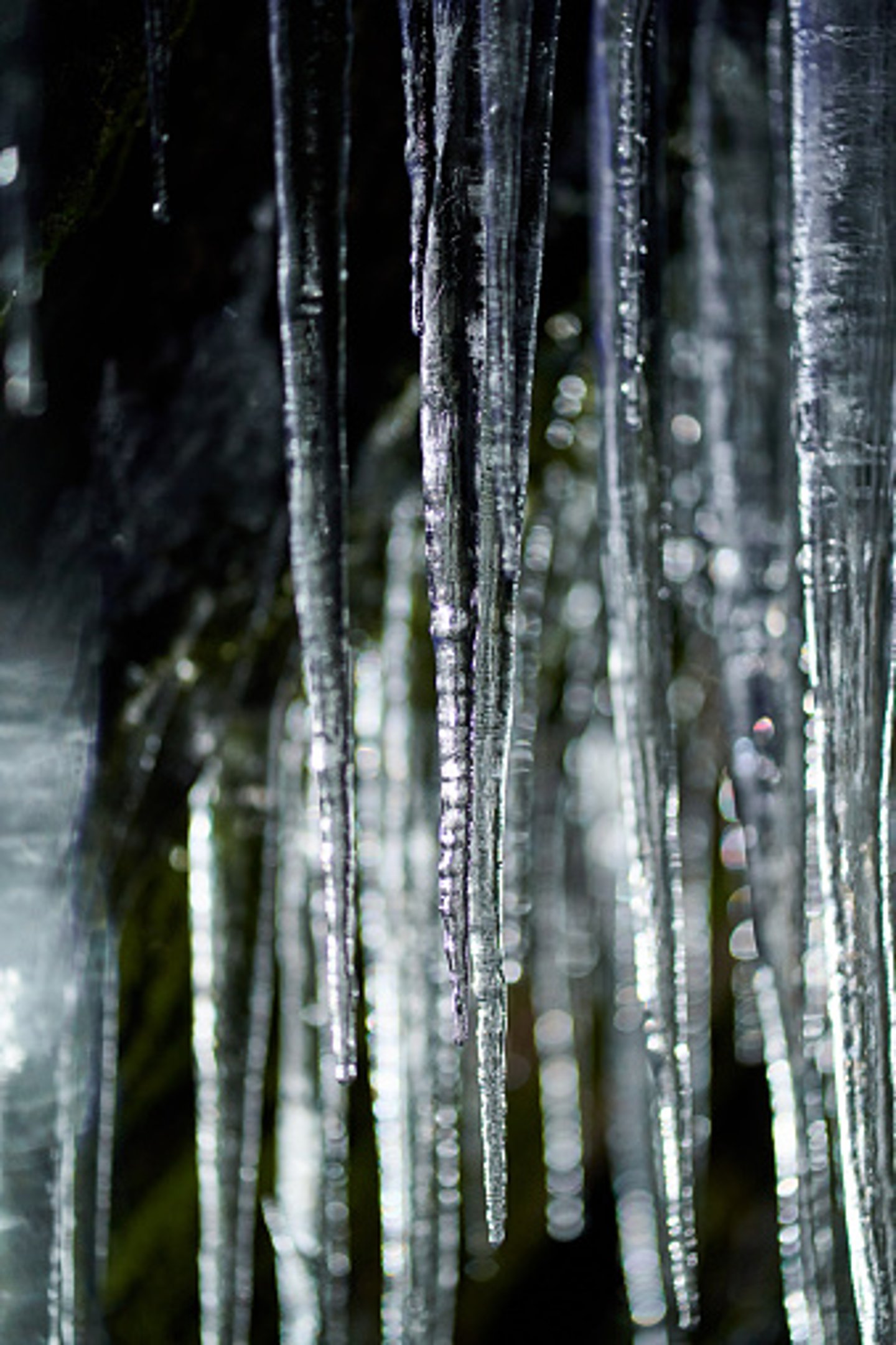 Icicle Image 