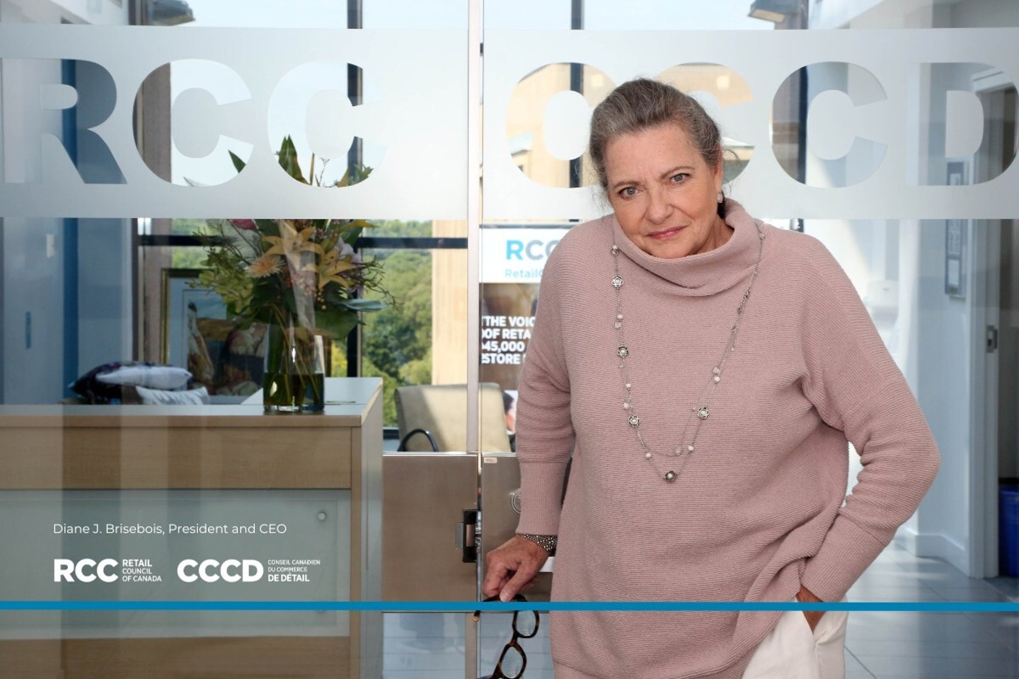 Diane J. Brisebois