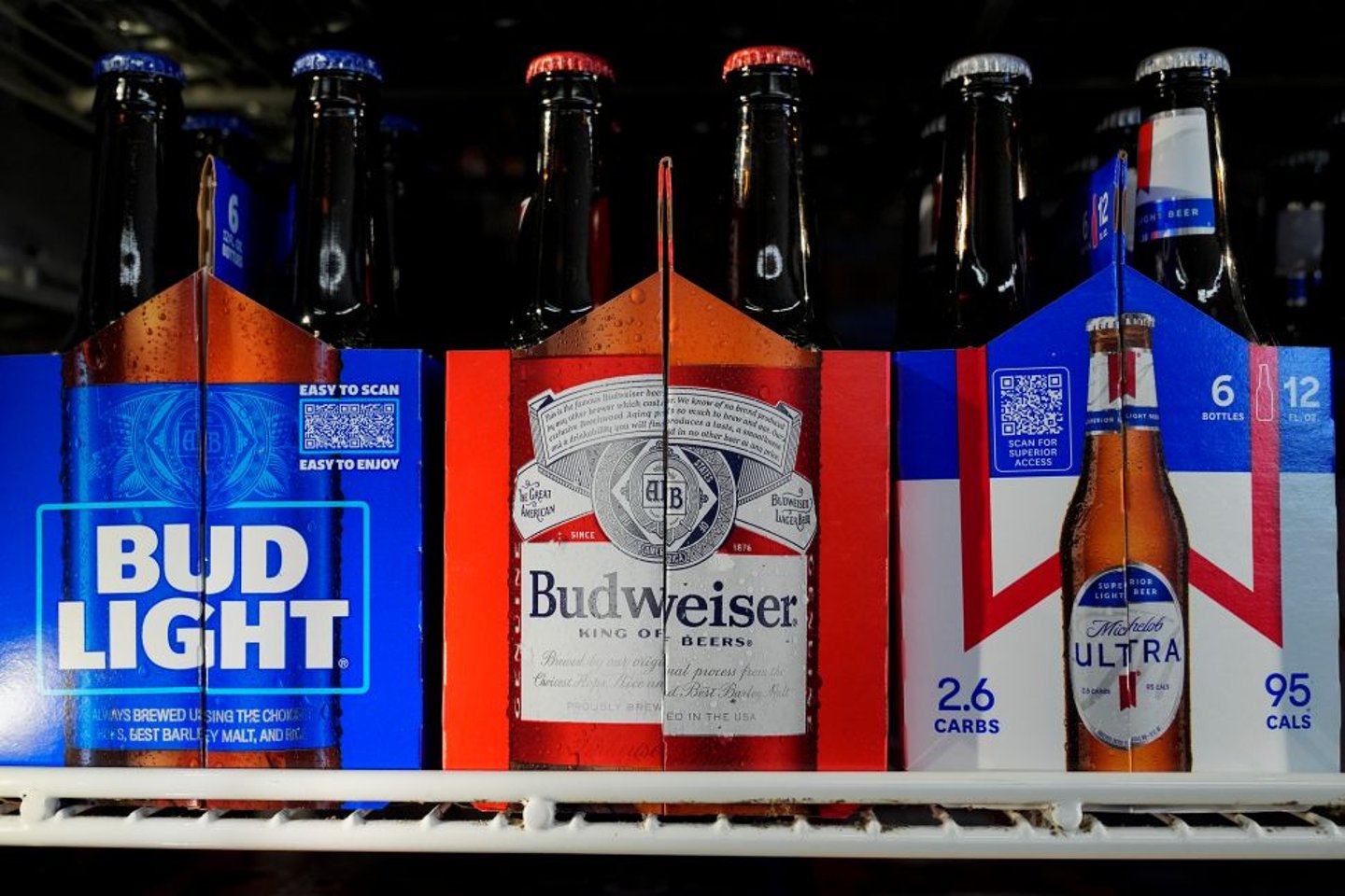 Budweiser beer in a cooler CP 