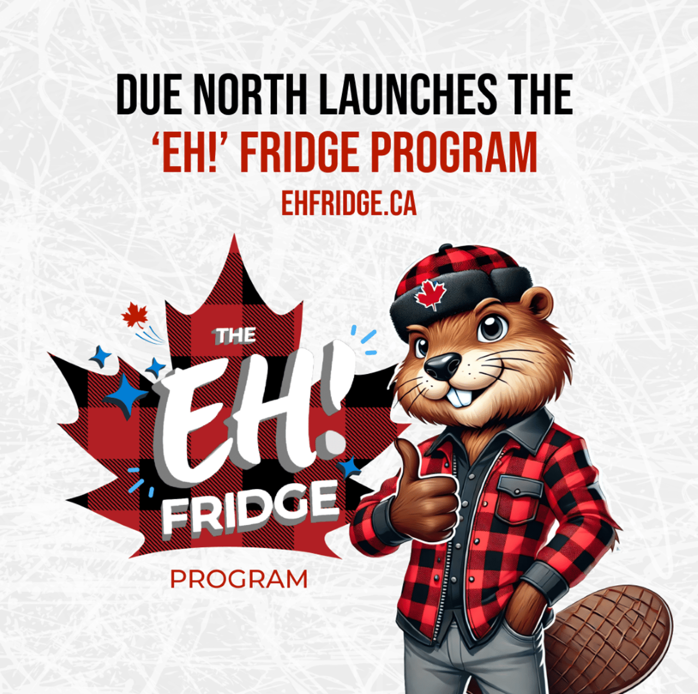 Due North Fridge Campaign