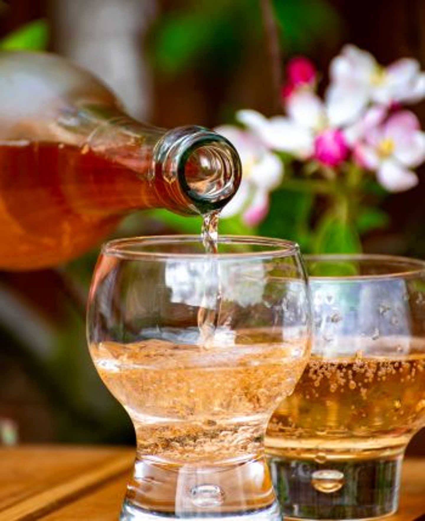 Apple Cider Drink Stock Image Teaser