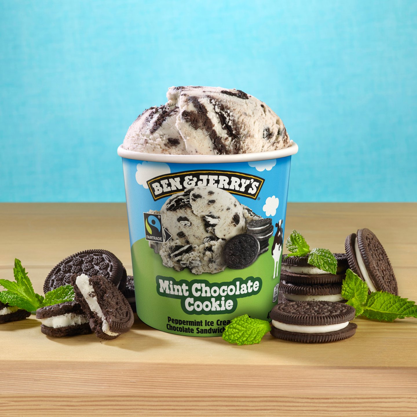 Ben + Jerry Mint Chocolate Chip