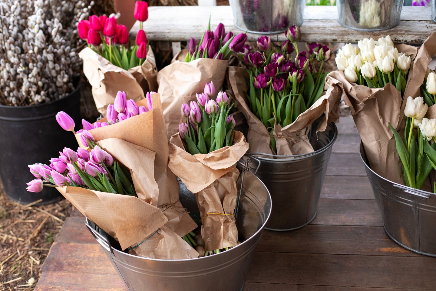tulips in bins outside store