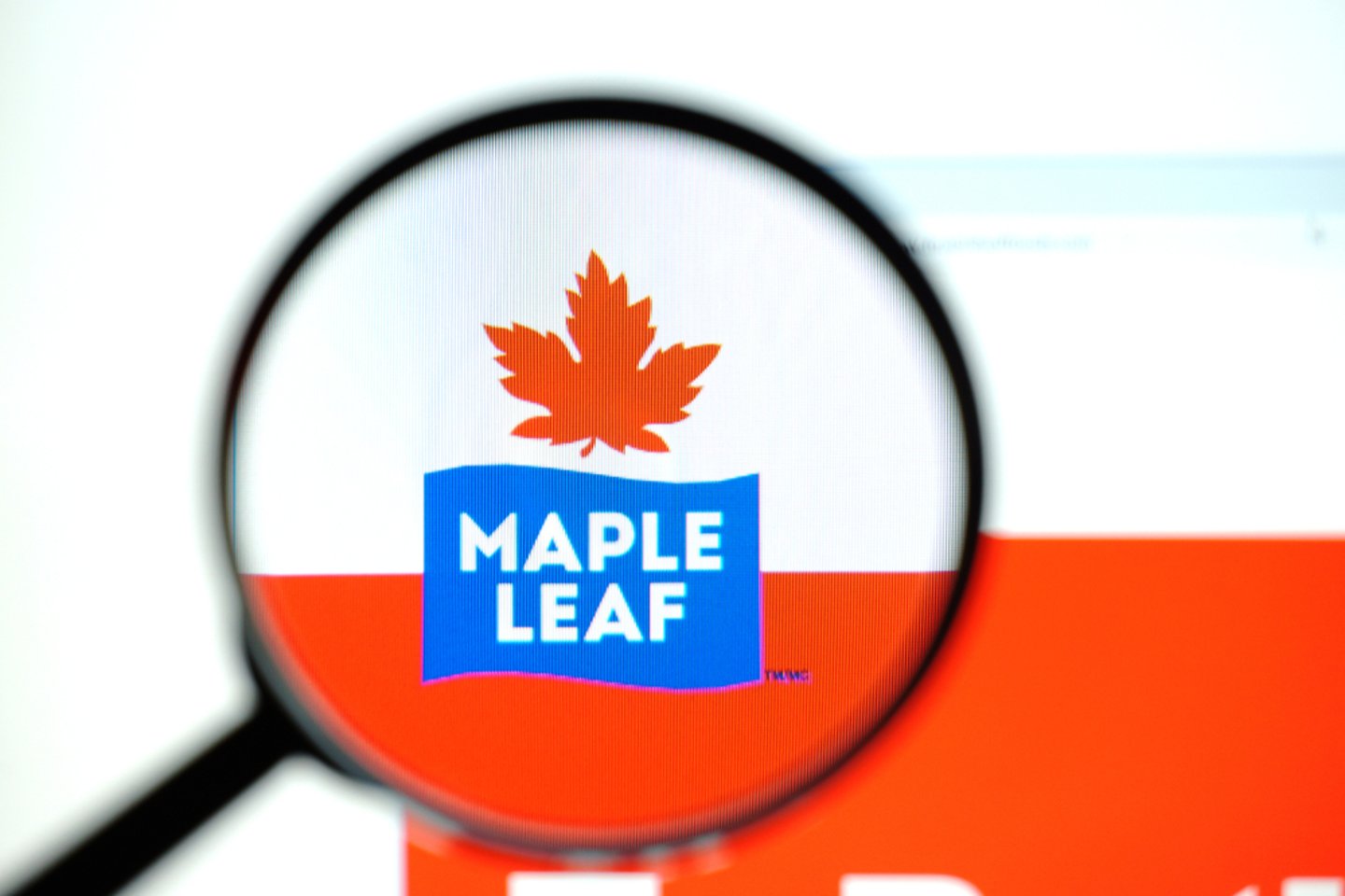maple leaf foods under magnifying glass