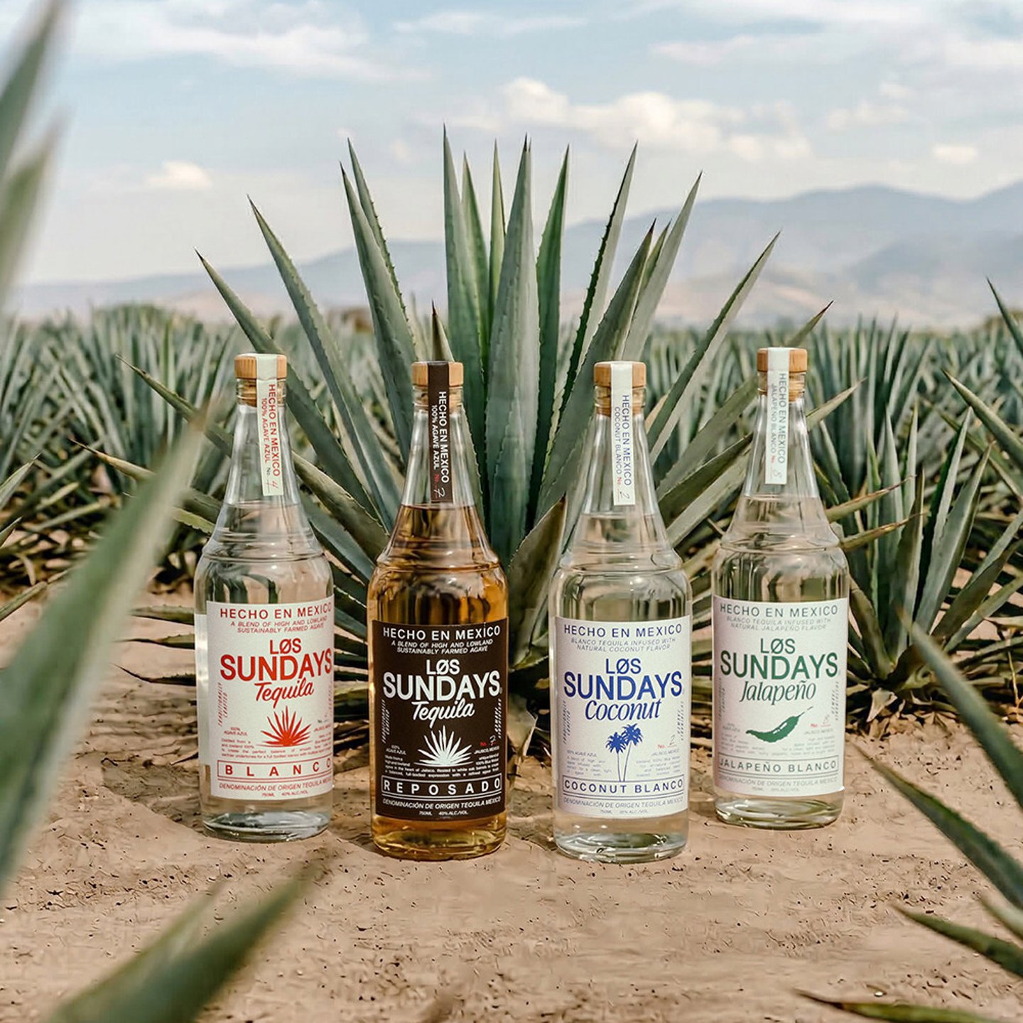 Los Sundays tequila bottles