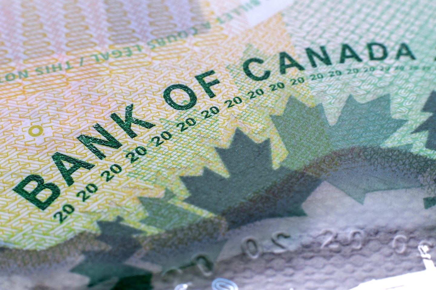 Close up of Canadian currency