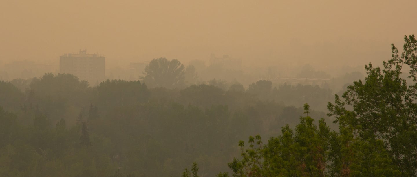 Wildfires 2026