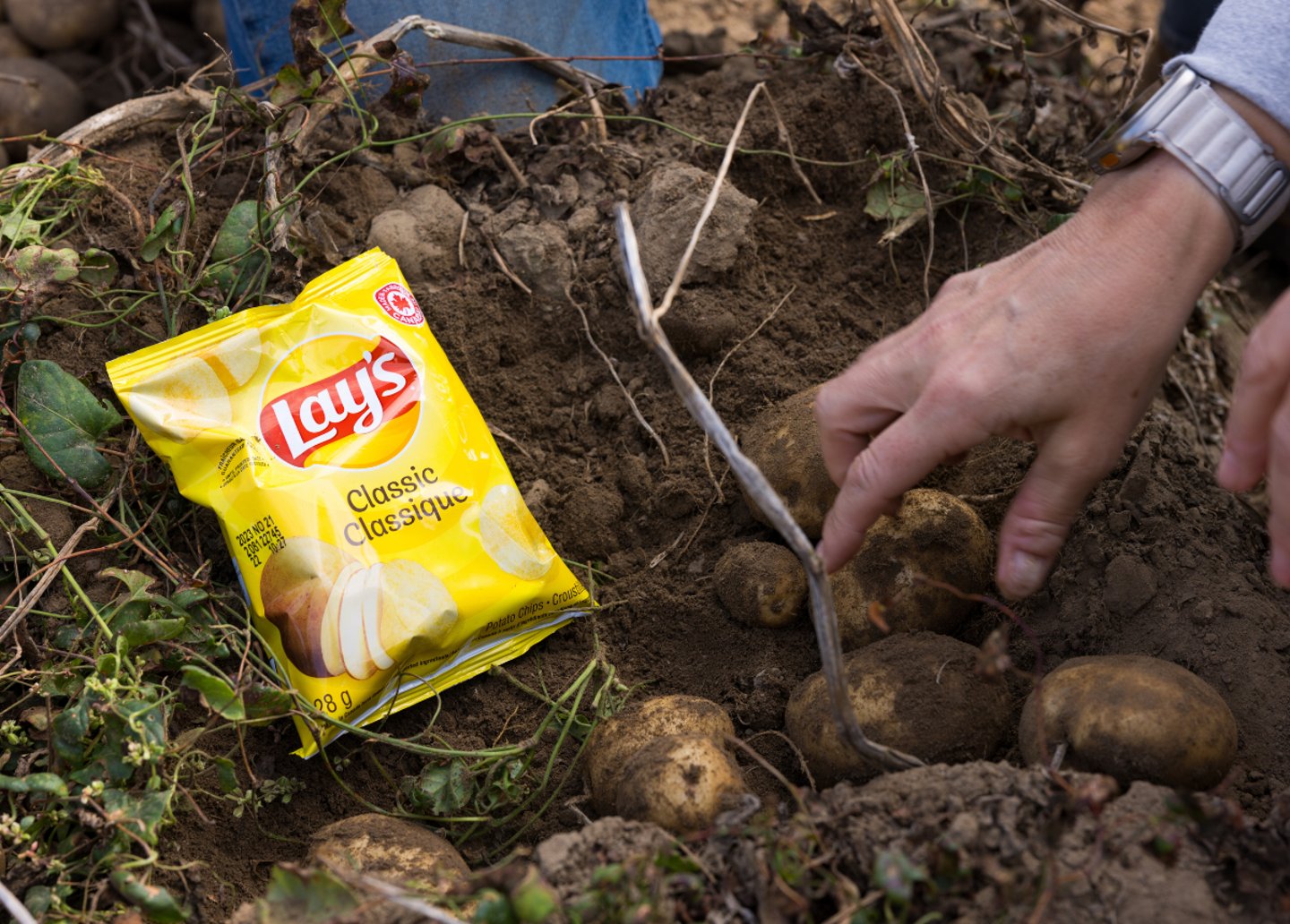 Pepsico sustainability Impact2026 2