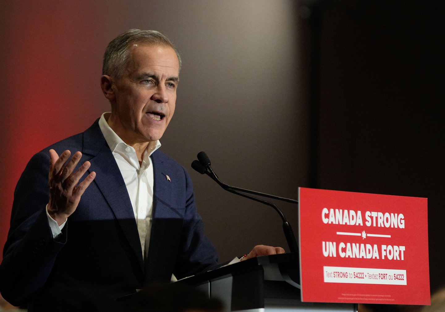 Prime Minister Mark Carney