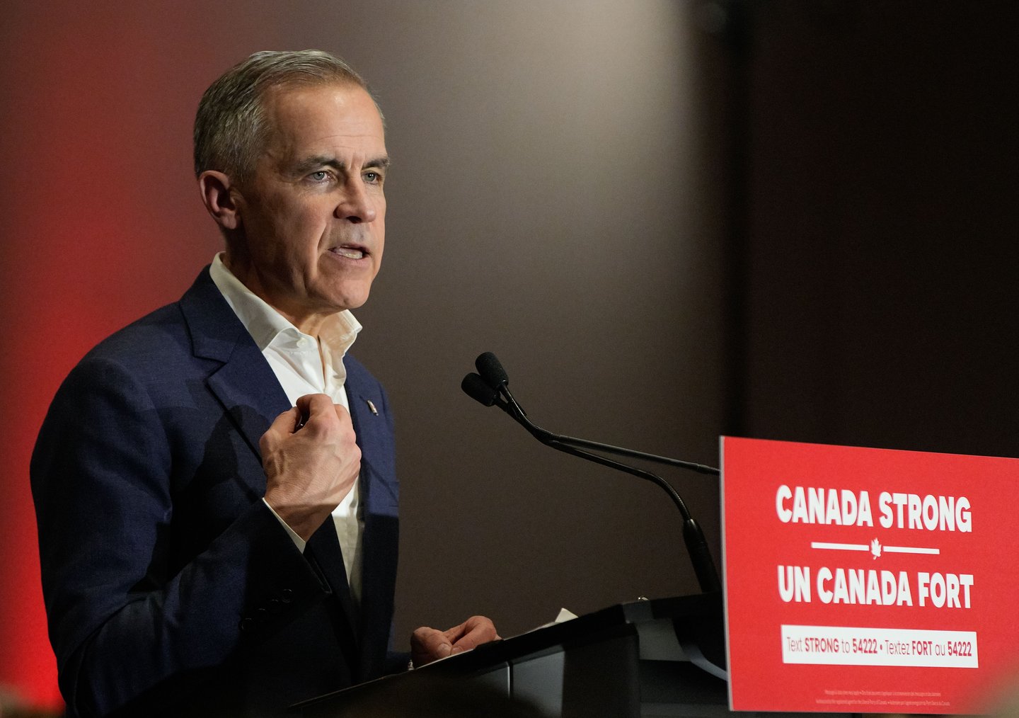 Prime Minister Mark Carney